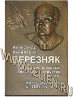 Мемориальная памятная доска из бронзы с портретным барельефом в память о А.Я. Березняк. Изготовлена на заказ. Установлена в Дубне Московской области.